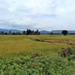 VENTA DE TERRENO DE 60 HAS. EN SAN MARTÍN